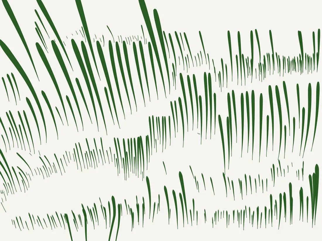Hautes herbes vert sapin tracées au trait épais, rythme régulier.