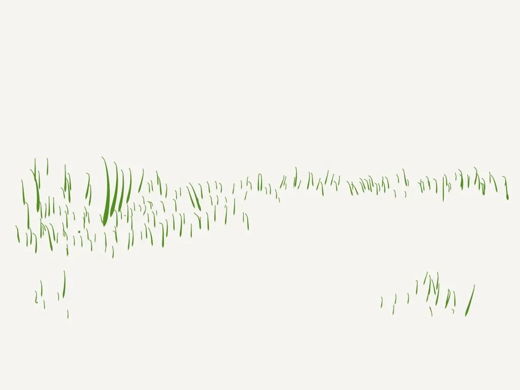 Brins d'herbe verts épars sur fond ivoire, tracé léger et aéré.