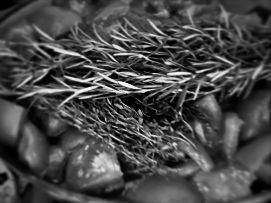 Gros plan sur des brins d'herbe séchée entremêlés, texture noir et blanc.